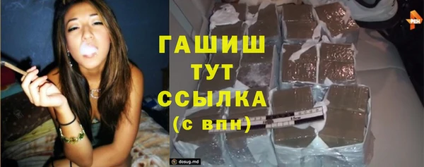 хмурый Алексин