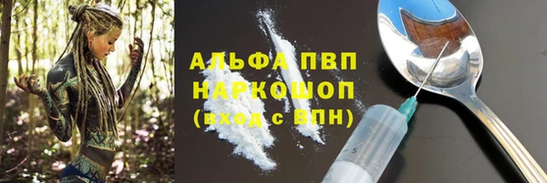 хмурый Алексин