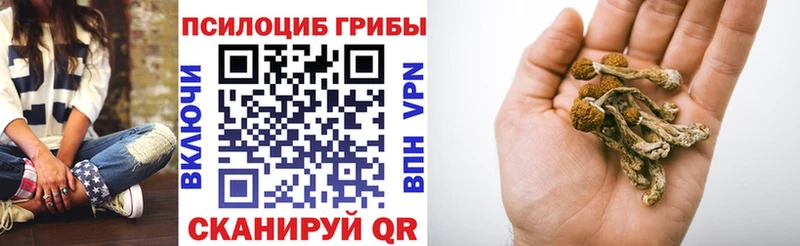 Псилоцибиновые грибы GOLDEN TEACHER  Купить закладки  Хилок 